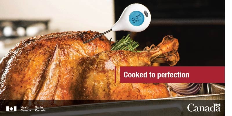 juicy turkey with a probe thermometer in it reading 82 degrees centigrade