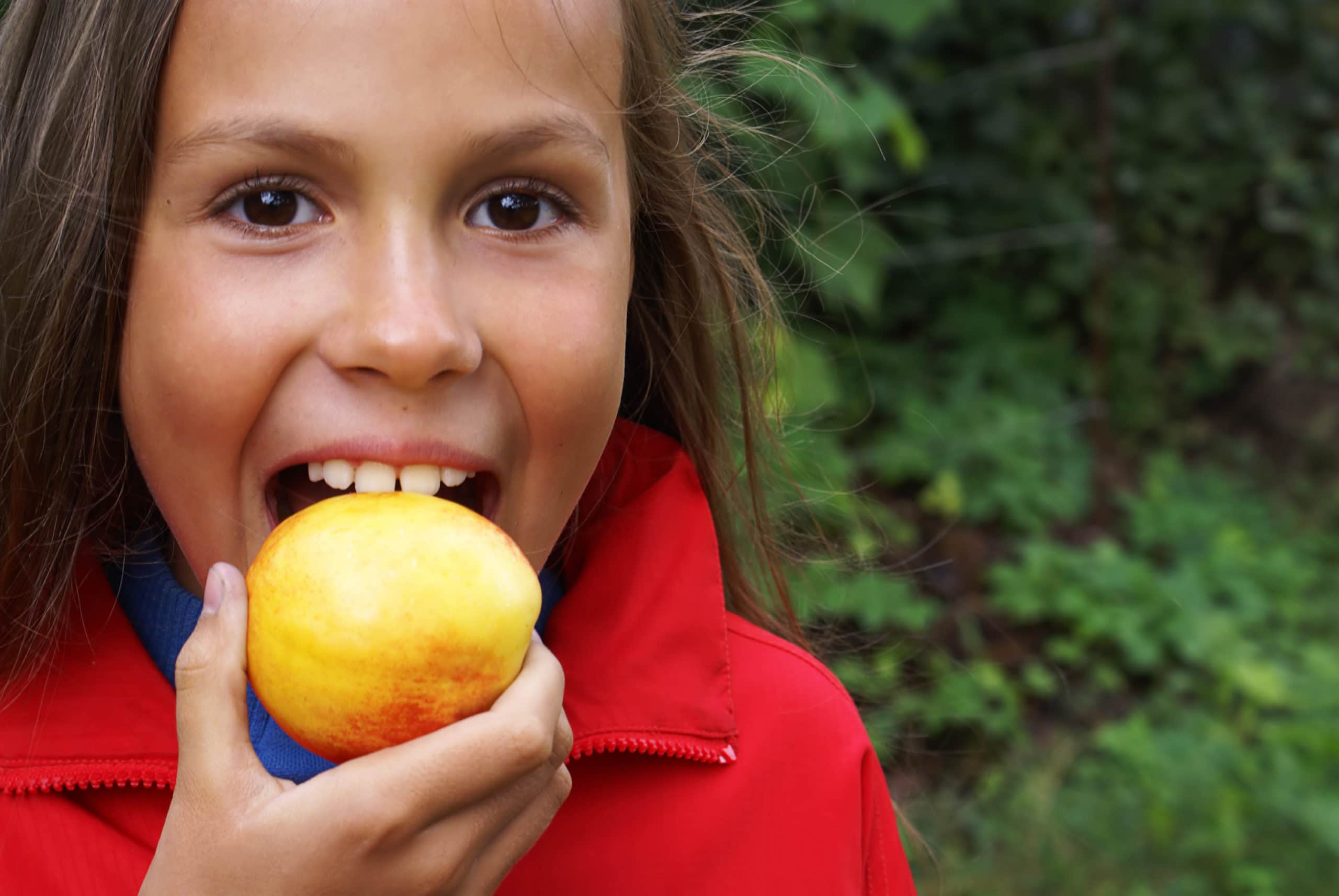 Picture of child biting an apple