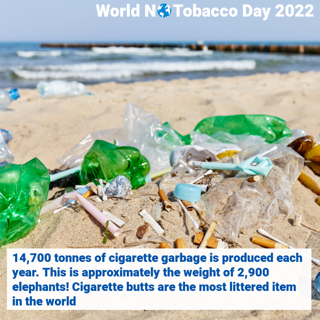 World No Tobacco Day 2022. 14,700 tonnes of cigarette garbage is produced each year. This is approximately the weight of 2,900 elephants! Cigarette butts are the most littered item in the world.