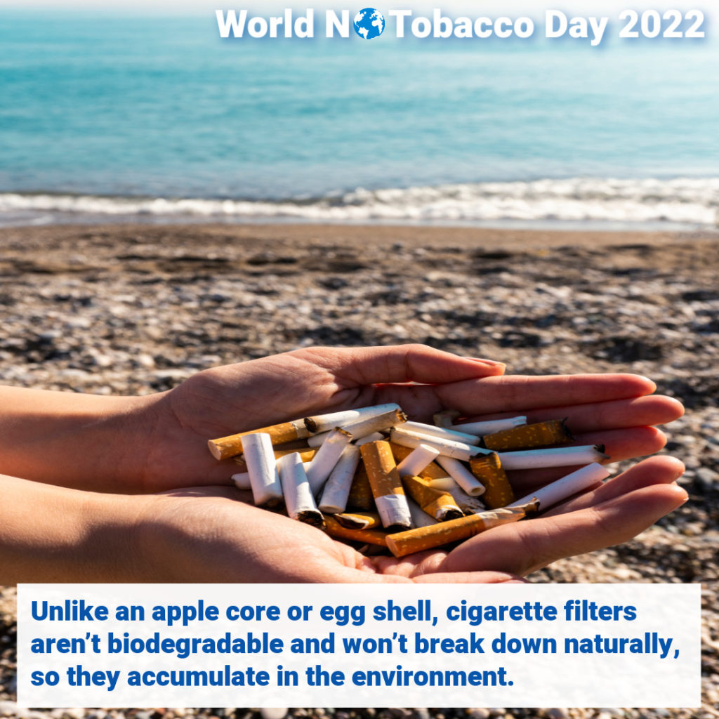 World No Tobacco Day. Unlike an apple core or egg shell, cigarette filters aren't biodegradable and won't break down naturally, so they accumulate in the environment.